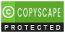 Max Vision Solutions Copyscape Protected