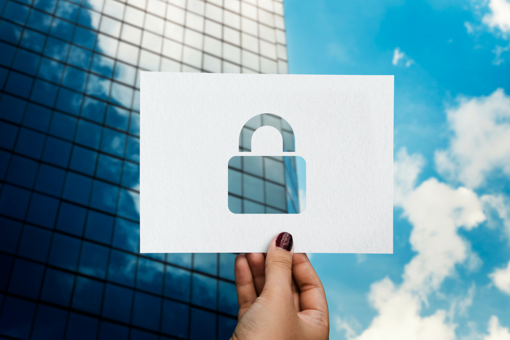 Data Security and Privacy b2b Companies