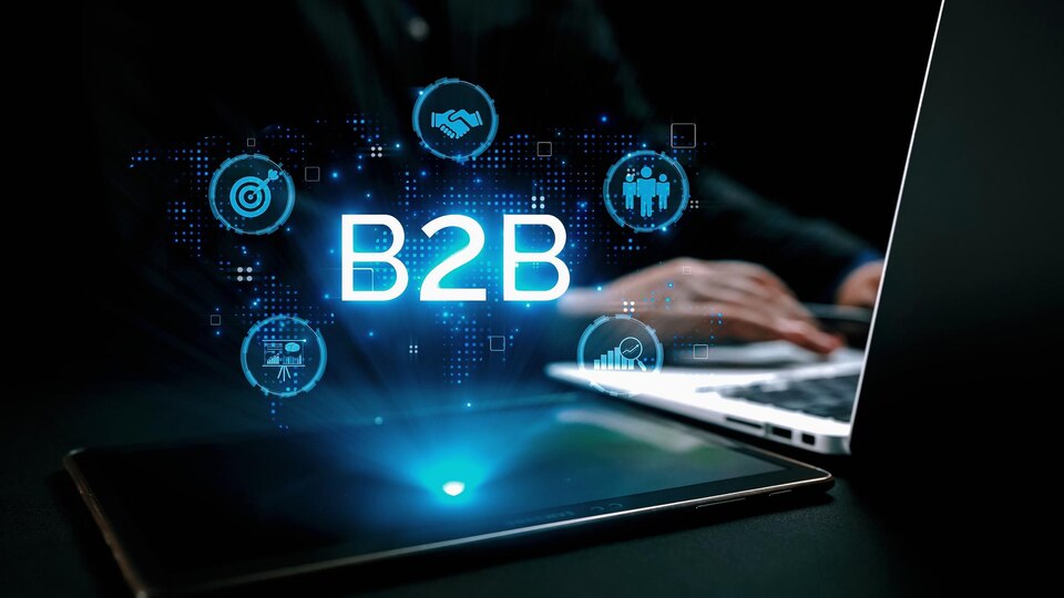 B2B Web development