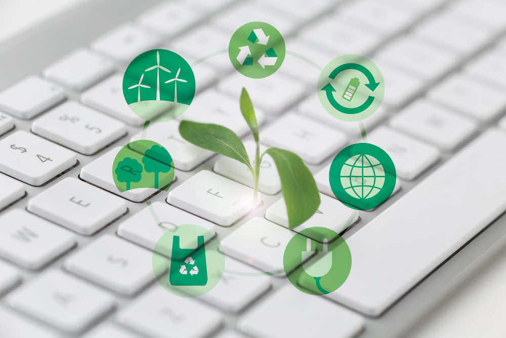 Sustainability and Green Web Development