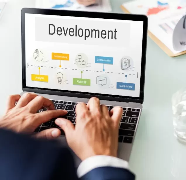 Website Development Services